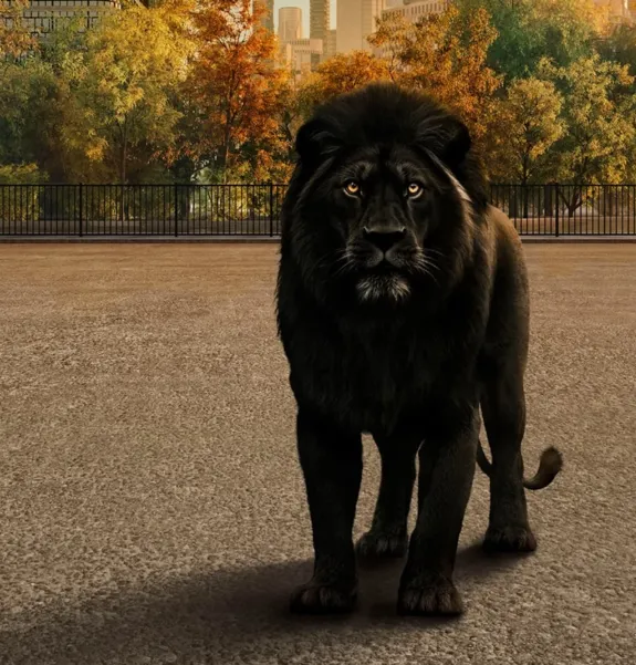 EDINSTVENA PONUDBA ČRNEGA PETKA