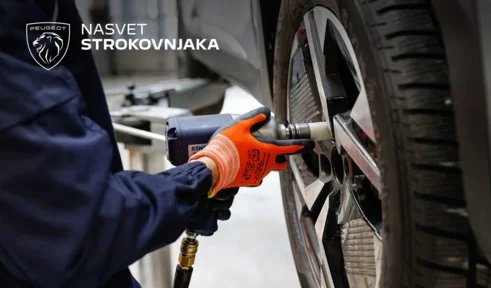 POMLAD PRINAŠA LETNE PNEVMATIKE