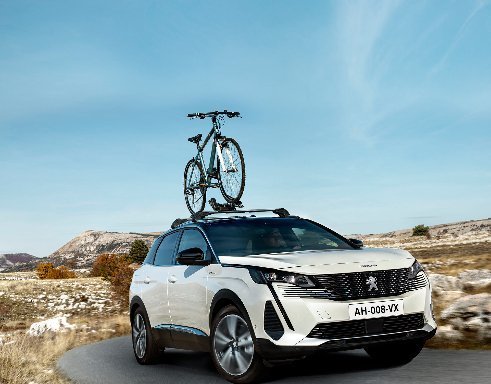 HUDA CENA – PEUGEOT NOSILEC ZA KOLO