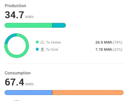Uporaba sončne elektrarne v letu 2025